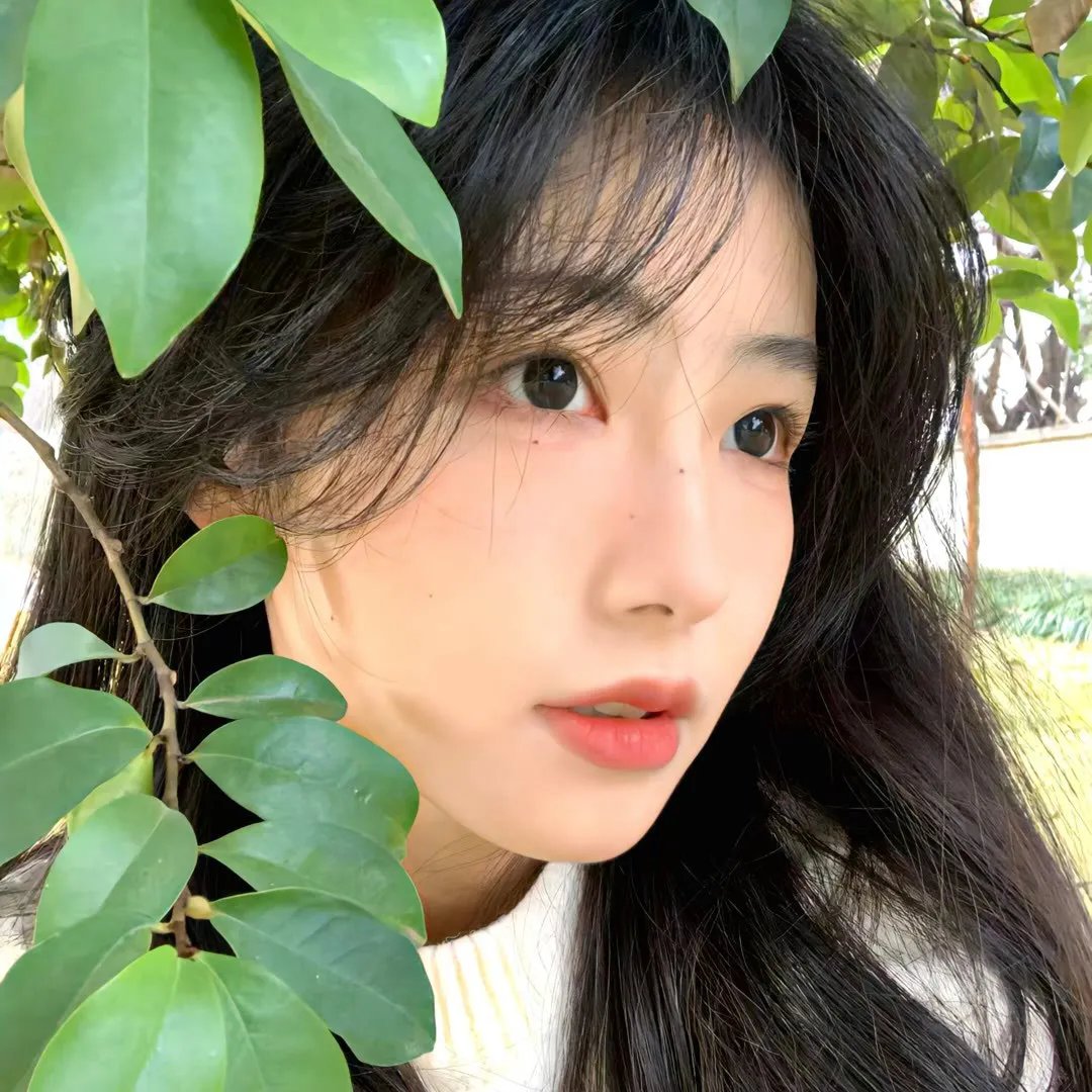 派特森
